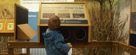 Interaktive Dauerausstellung Neschwitzer Vogelschutzpavillon Interaktive Dauerausstellung Neschwitzer Vogelschutzpavillon
